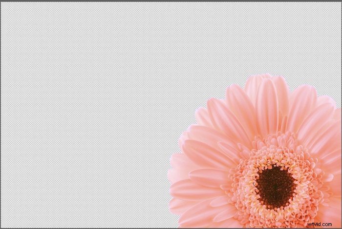 Master Photoshop s Magic Wand Tool: Quick Guide to Perfect Selections