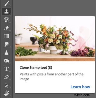 Expert High-End Retouching Techniques for Professional Fashion Photography