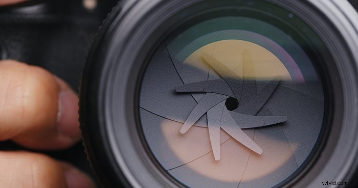 Master Focus Stacking: Achieve Razor-Sharp Photos in Landscape and Macro Photography