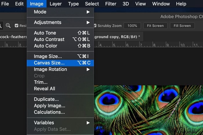 How to Create Stunning Mirror Images in Photoshop: Step-by-Step Guide