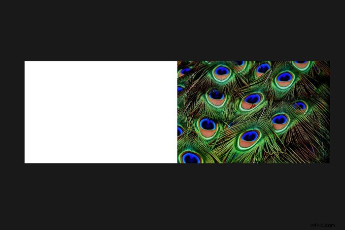 How to Create Stunning Mirror Images in Photoshop: Step-by-Step Guide