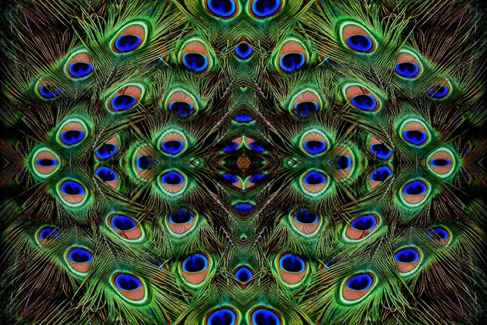 How to Create Stunning Mirror Images in Photoshop: Step-by-Step Guide