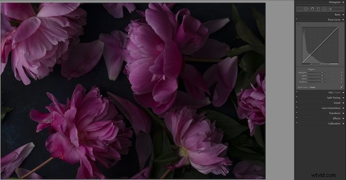Master Color Correction in Lightroom: Unlock the Power of the Tone Curve