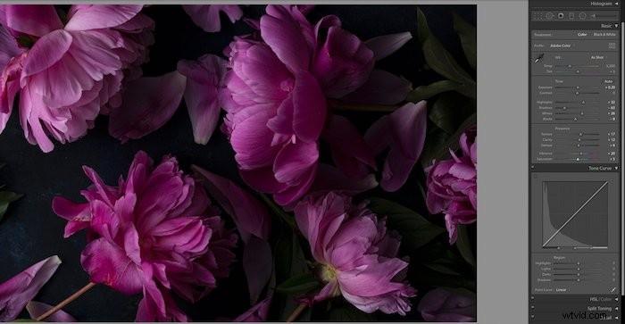 Master Color Correction in Lightroom: Unlock the Power of the Tone Curve