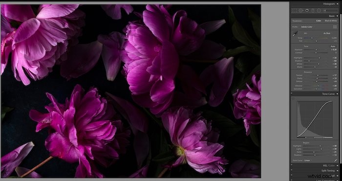 Master Color Correction in Lightroom: Unlock the Power of the Tone Curve