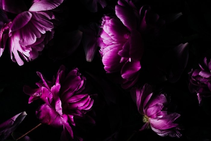 Master Color Correction in Lightroom: Unlock the Power of the Tone Curve