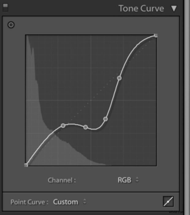 Master Color Correction in Lightroom: Unlock the Power of the Tone Curve