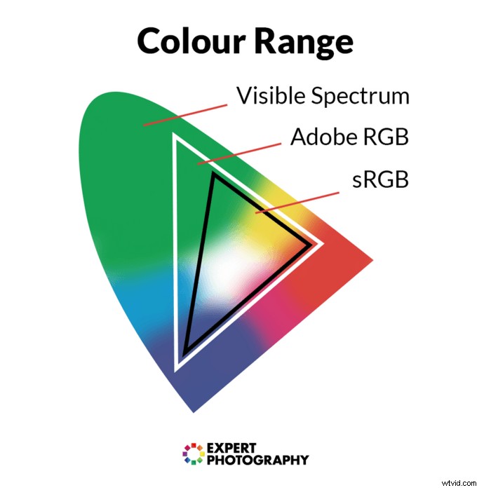 sRGB vs. Adobe RGB: Ultimate Guide to Choosing the Right Color Space