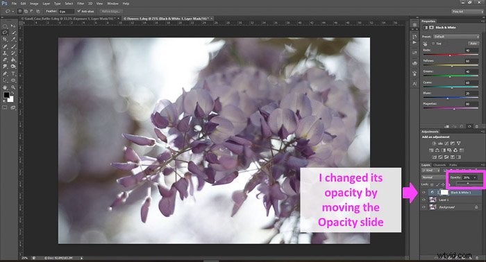 Master Photo Editing in Photoshop: Essential Beginner Tips
