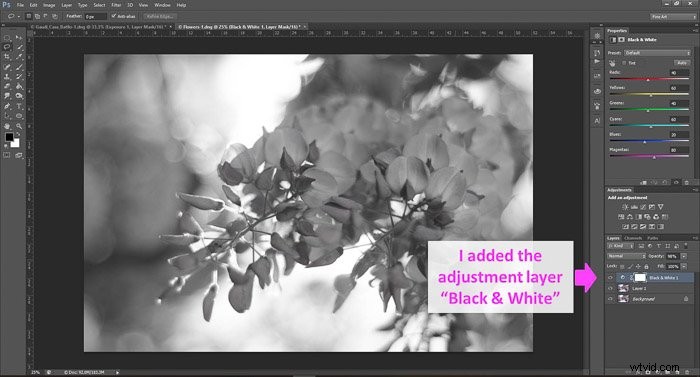 Master Photo Editing in Photoshop: Essential Beginner Tips