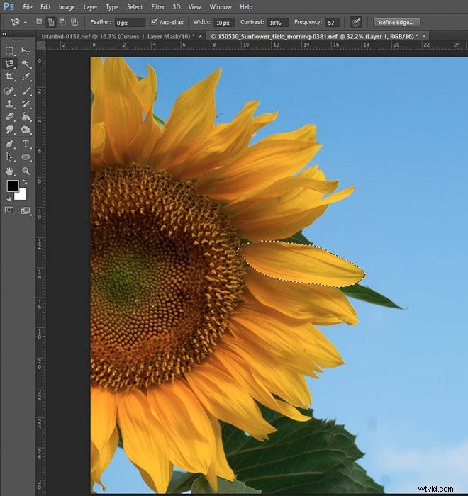 Master Photo Editing in Photoshop: Essential Beginner Tips