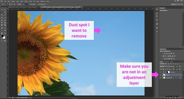 Master Photo Editing in Photoshop: Essential Beginner Tips