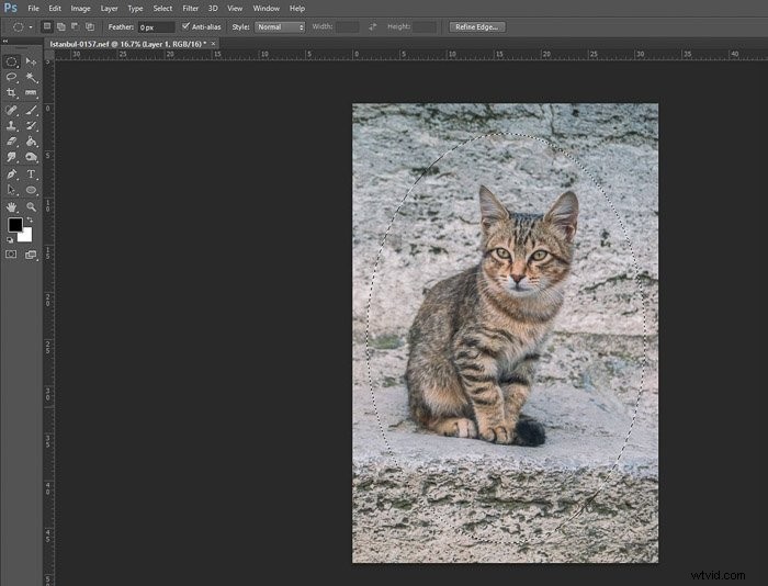 Master Photo Editing in Photoshop: Essential Beginner Tips