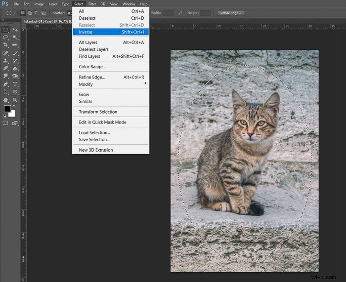 Master Photo Editing in Photoshop: Essential Beginner Tips