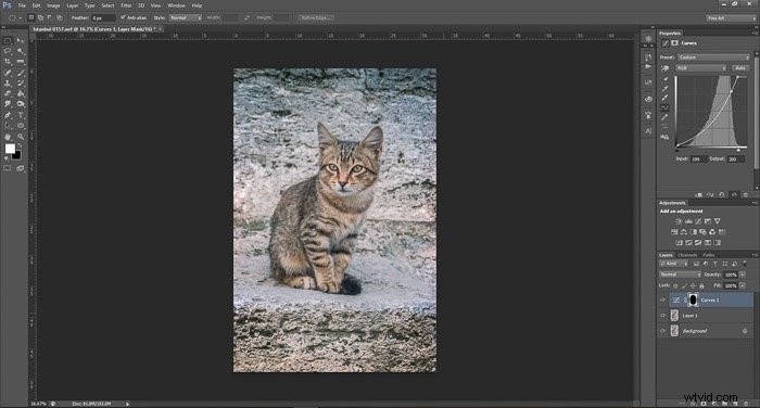 Master Photo Editing in Photoshop: Essential Beginner Tips