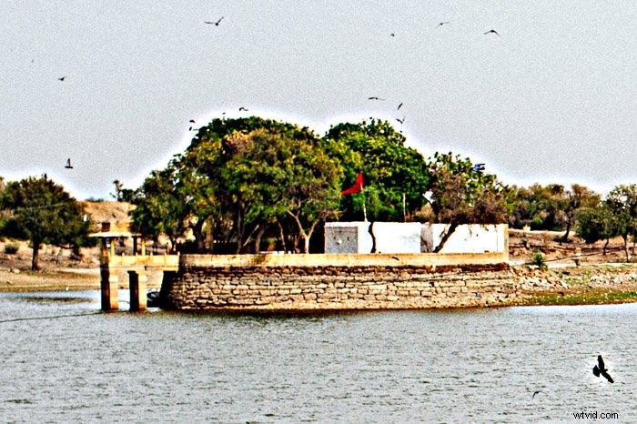 Master Image Sharpening in Photoshop: Step-by-Step Pro Guide