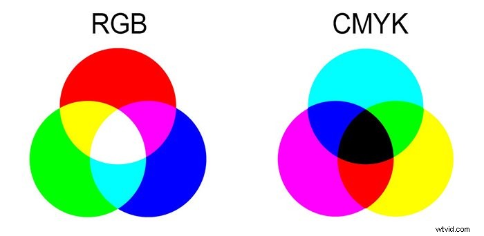 Photoshop Channels Explained: What They Are and How to Use Them for Beginners