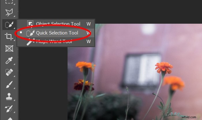 Master Photoshop s Quick Selection Tool: Step-by-Step Tutorial