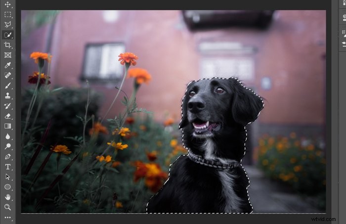 Master Photoshop s Quick Selection Tool: Step-by-Step Tutorial