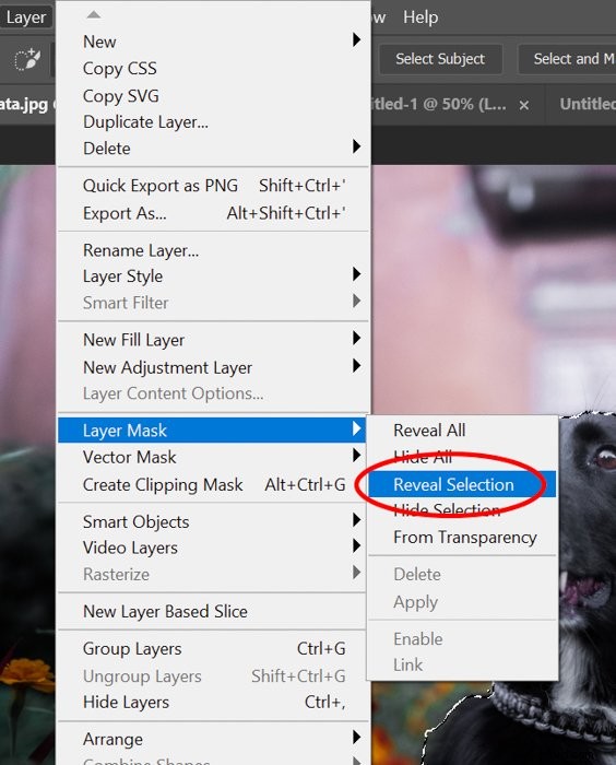 Master Photoshop s Quick Selection Tool: Step-by-Step Tutorial
