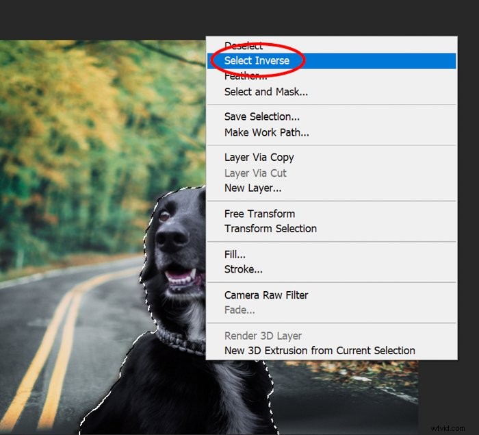Master Photoshop s Quick Selection Tool: Step-by-Step Tutorial