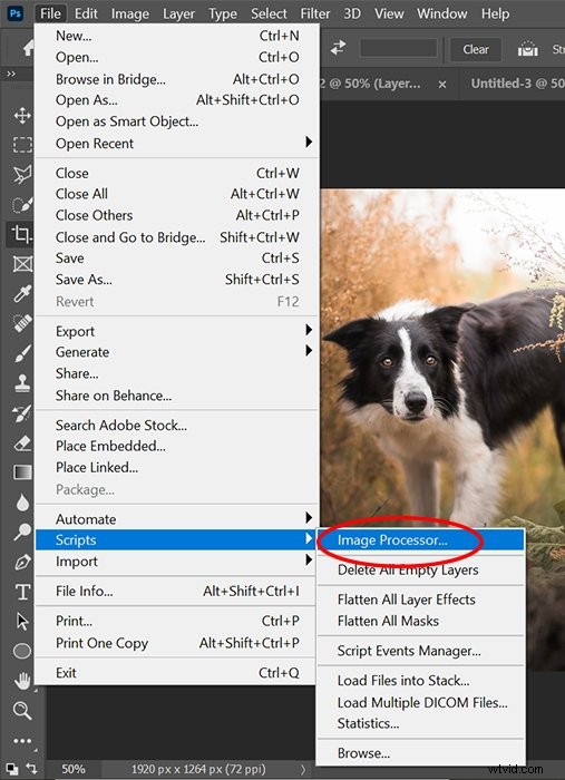 Batch Resize Images in Photoshop: Easy Step-by-Step Guide