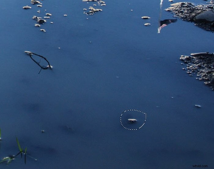 Master Photoshop s Patch Tool: Easy Step-by-Step Guide