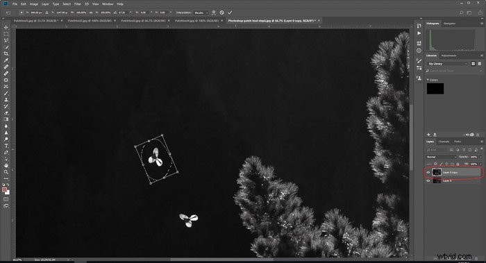 Master Photoshop s Patch Tool: Easy Step-by-Step Guide