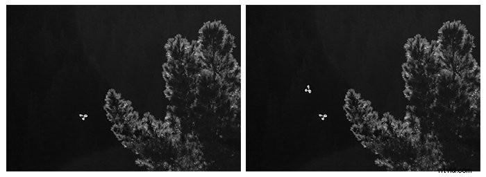 Master Photoshop s Patch Tool: Easy Step-by-Step Guide