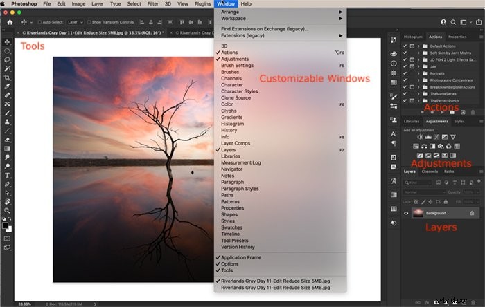 Photoshop Elements vs. Photoshop CC: Ultimate Comparison Guide