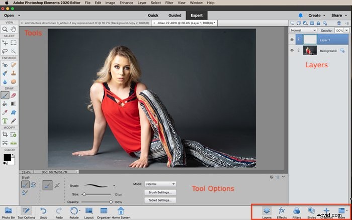 Photoshop Elements vs. Photoshop CC: Ultimate Comparison Guide