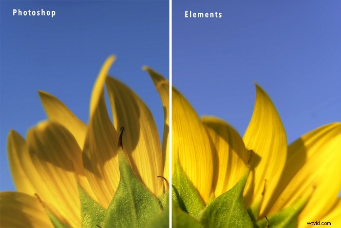 Photoshop Elements vs. Photoshop CC: Ultimate Comparison Guide