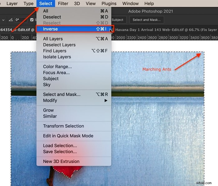 Master Selective Color in Photoshop: Step-by-Step Tutorial