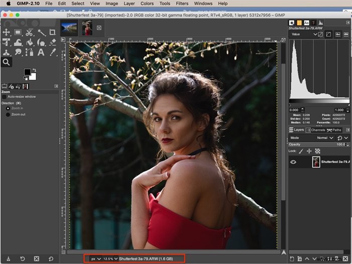 How to Open RAW Images in GIMP Using RawTherapee and Darktable