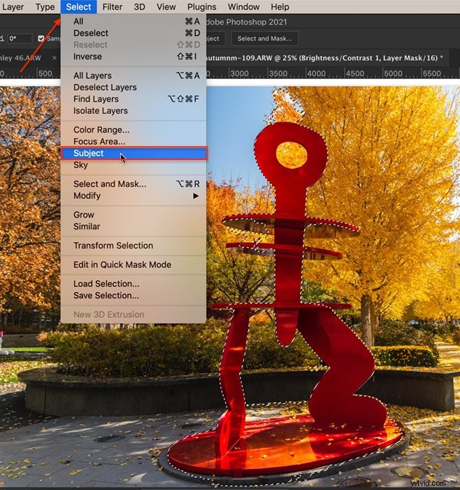 Master 12 Essential Photoshop Selection Tools for Precision Editing