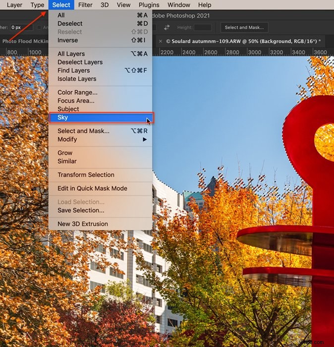 Master 12 Essential Photoshop Selection Tools for Precision Editing