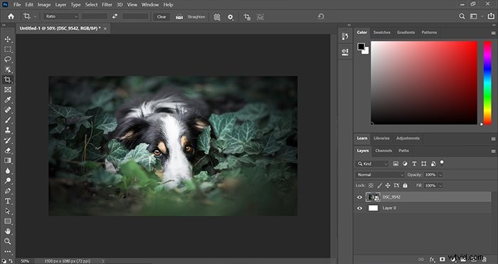 GIMP vs. Photoshop: Is GIMP a True Alternative for Pros and Hobbyists?