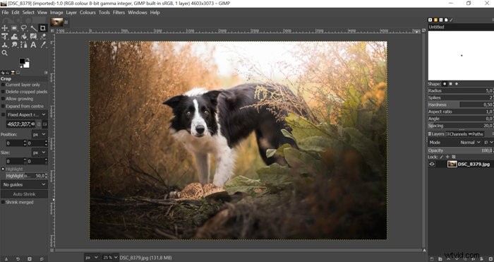 GIMP vs. Photoshop: Is GIMP a True Alternative for Pros and Hobbyists?