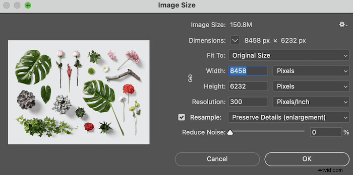 How to Enlarge Photos for Printing Without Losing Quality: Expert Guide
