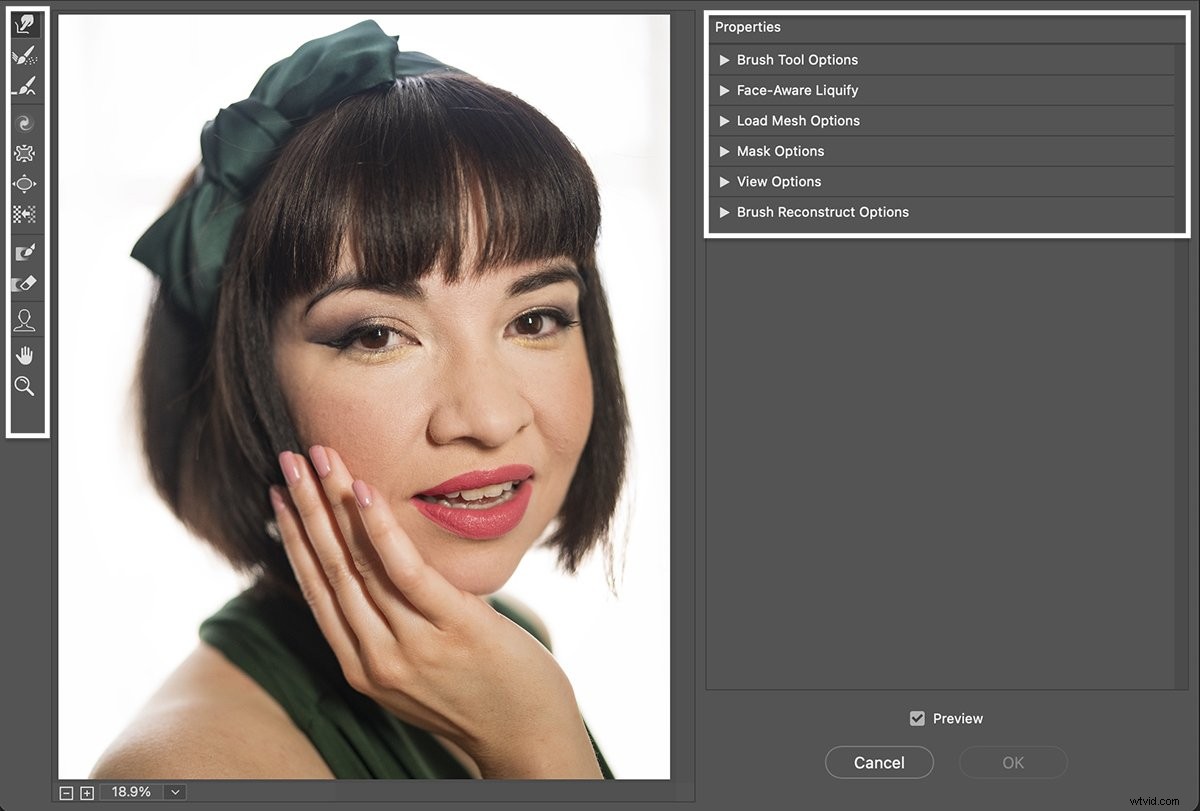 Master Photoshop Liquify Tool: Step-by-Step Guide to Reshaping Images