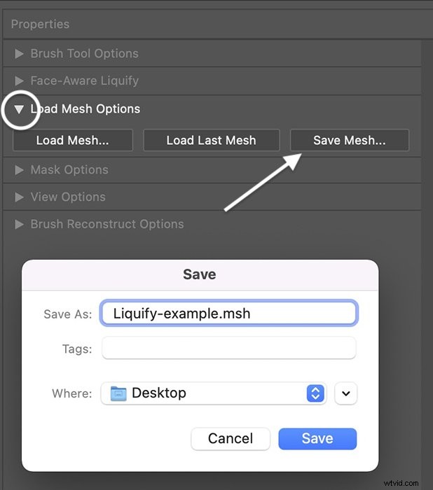 Master Photoshop Liquify Tool: Step-by-Step Guide to Reshaping Images
