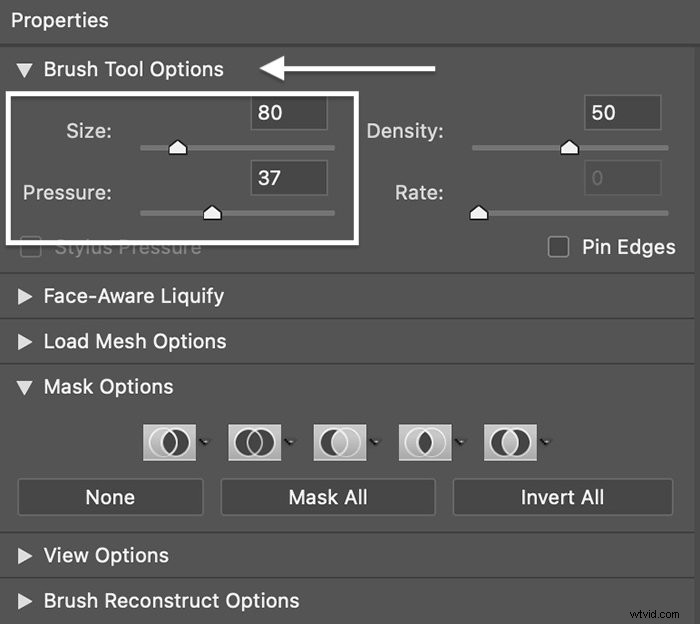 Master Photoshop Liquify Tool: Step-by-Step Guide to Reshaping Images