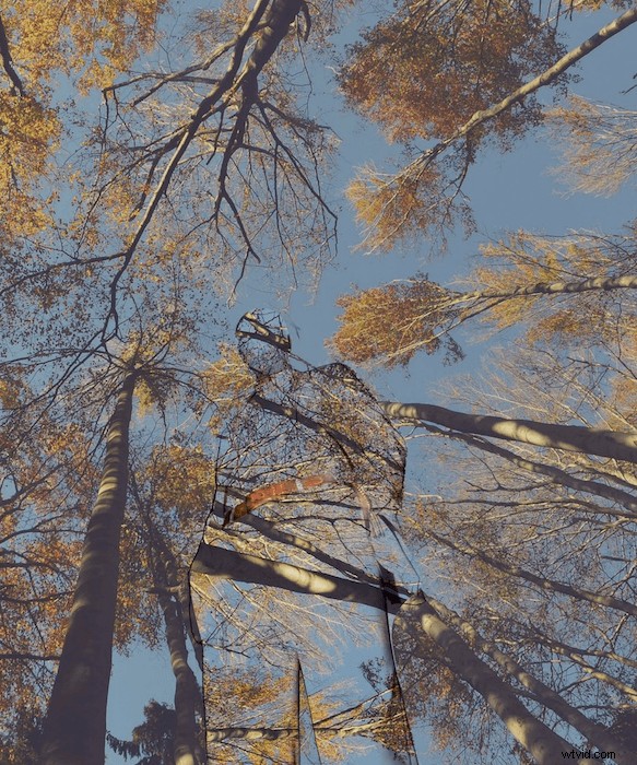 Create Stunning Double Exposure Effects in Photoshop: Easy Step-by-Step Guide