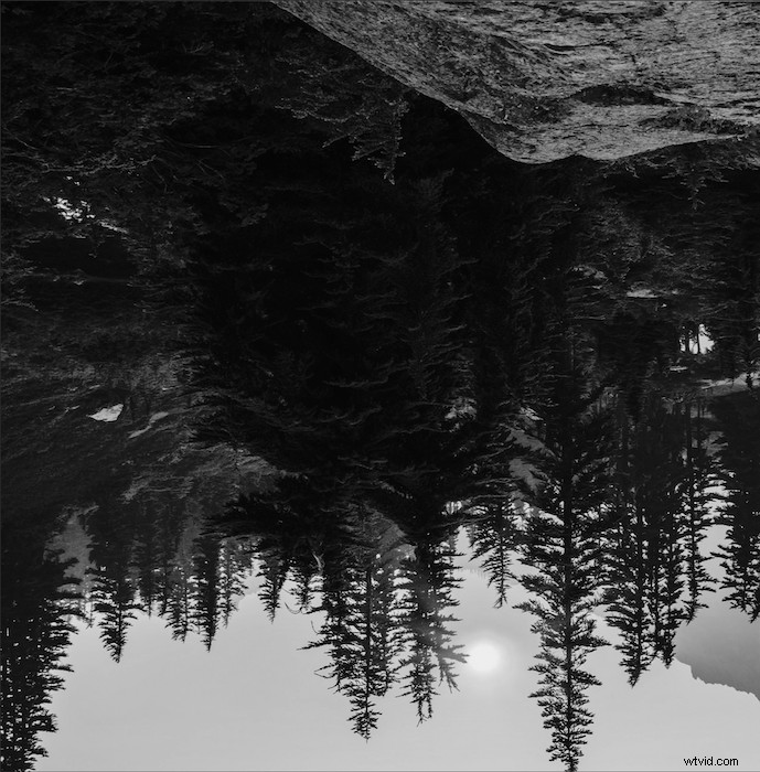 Create Stunning Double Exposure Effects in Photoshop: Easy Step-by-Step Guide