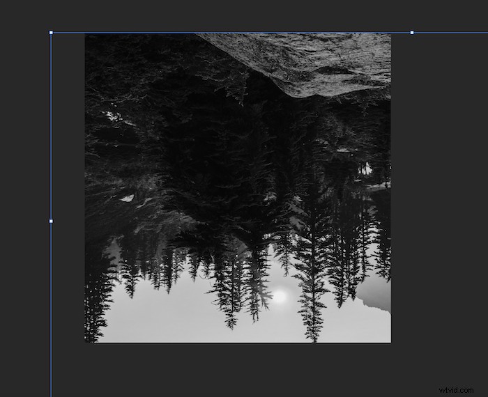 Create Stunning Double Exposure Effects in Photoshop: Easy Step-by-Step Guide