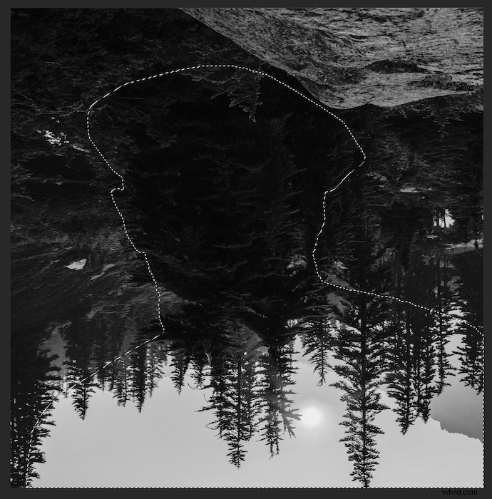 Create Stunning Double Exposure Effects in Photoshop: Easy Step-by-Step Guide