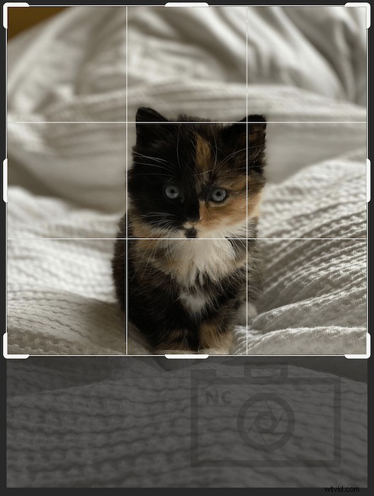 Create Professional Watermarks in Photoshop: Quick & Easy Tutorial