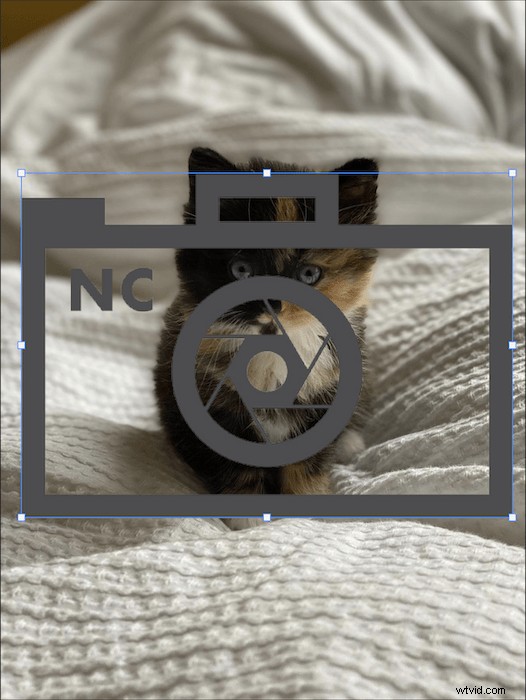 Create Professional Watermarks in Photoshop: Quick & Easy Tutorial