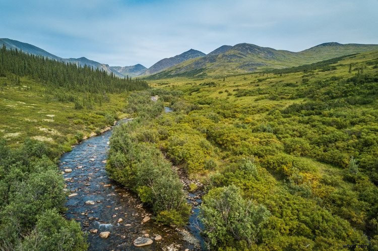Aerial & Drone Photography Essentials: Capture Stunning Perspectives from Above