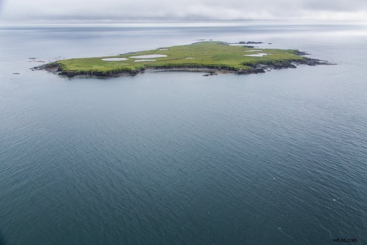 Aerial & Drone Photography Essentials: Capture Stunning Perspectives from Above